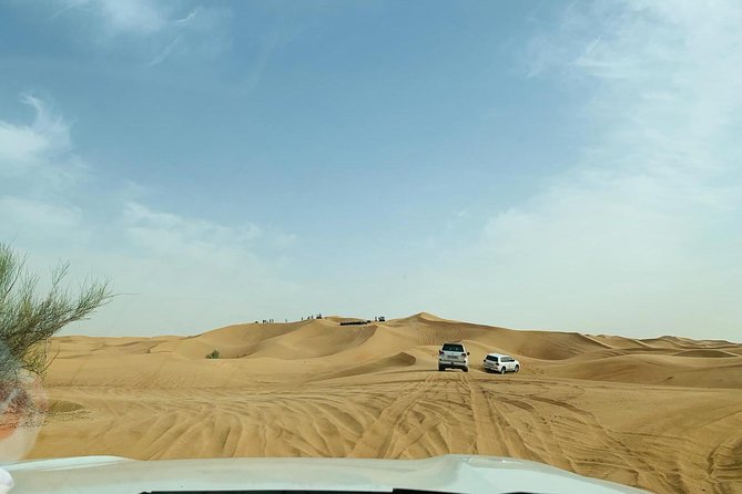 Premium Red Dunes Safari and Camel Safari with BBQ Dinner - Activities Like Henna and Shisha: Fun Add-Ons or Time Fillers