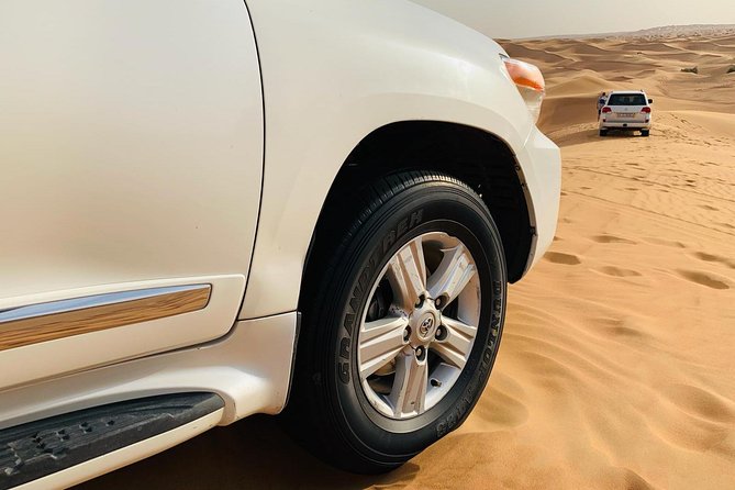Premium Red Dunes Safari and Camel Safari with BBQ Dinner - Group Size, Pickup, and Transfers: The Smoothness Factor