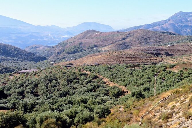 Premium Scenic Daytrip to Alpujarra Villages from Granada (Max 8) - The Moorish architecture angle: what the guide helps you notice