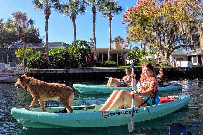 Premium Single Kayak Rental In Crystal River, Florida - Kayak Options in Crystal River: Single, Tandem, or Hybrid Paddle Board