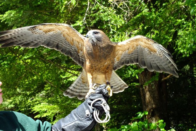 PREMIUM Sitka Scenic Tour - The small-group difference: how max 10 changes your day