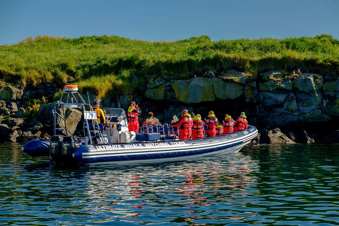 Premium Small-Group Puffin & Bird Watching tour from Reykjavík - Gear that turns harsh Reykjavik wind into comfortable viewing