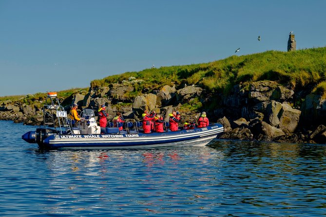 Premium Small-Group Puffin & Bird Watching tour from Reykjavík - Small-group size: why the captain and guide can actually focus