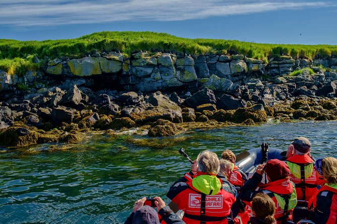 Premium Small-Group Puffin & Bird Watching tour from Reykjavík - Price and value: what $105.22 buys you in Iceland wildlife time
