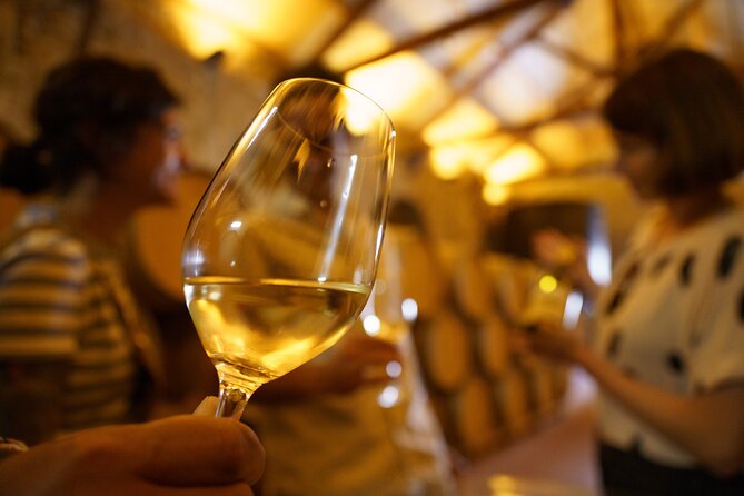 Premium Small Group Rioja Uncorked Tour from San Sebastian - Key highlights (the stuff that matters)