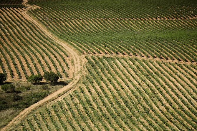 Premium Small Group Rioja Uncorked Tour from San Sebastian - Ostatu Winery in Samaniego: 250+ years, 18th-century hospitality
