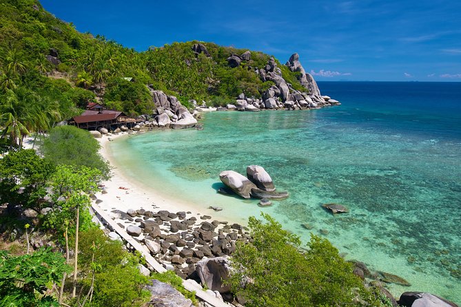 Premium Snorkel Tour to the Bays of Koh Tao onboard the Oxygen - Hin Wong Bay and Aow Leuk: When the Reef Gets Real