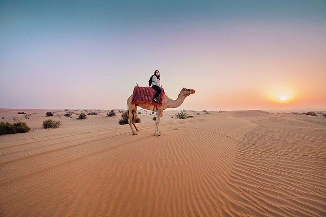 Premium Sundowner Red Dunes & Camel Safari with BBQ Dinner - Key Highlights You’ll Feel Right Away