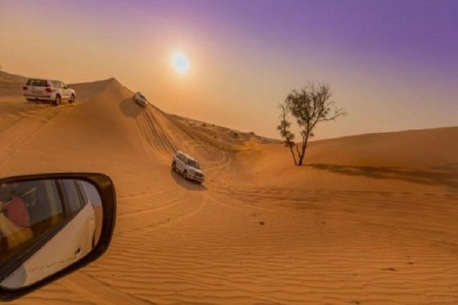 Premium Sundowner Red Dunes & Camel Safari with BBQ Dinner - Dune Bashing: The Thrill (and the One Caution I’d Listen To)