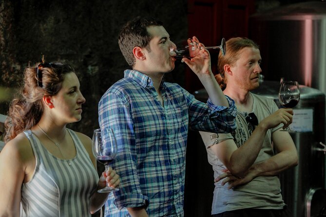PREMIUM TASTING and TAPAS with GUIDED TOUR - Quinta do Beijo: why this tasting feels more personal