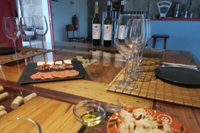 PREMIUM TASTING and TAPAS with GUIDED TOUR - The 1-hour flow: wine tasting, cellar tour, and tapas