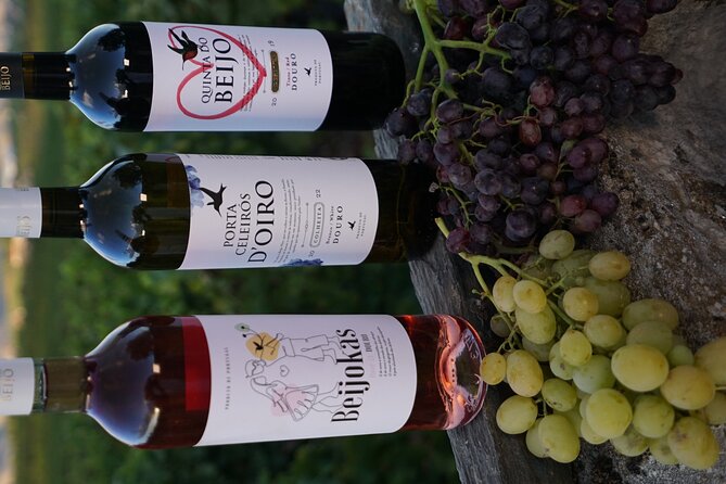 PREMIUM TASTING and TAPAS with GUIDED TOUR - Price and value: what $60.34 buys you here