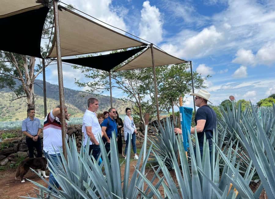 Premium Tequila Route with professional tasting - Key Points You’ll Actually Care About