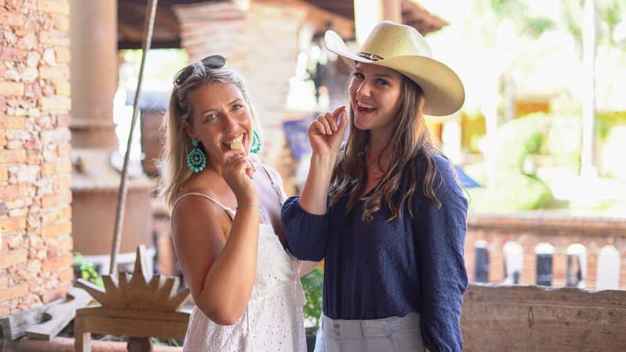 Premium Tequila Route with professional tasting - Pueblo Mágico of Tequila: Free Time With Real Landmarks