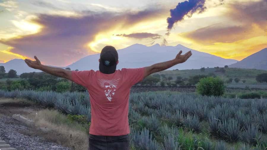Premium Tequila Route with professional tasting - Practical Tips Before You Go (So the Day Feels Fun)