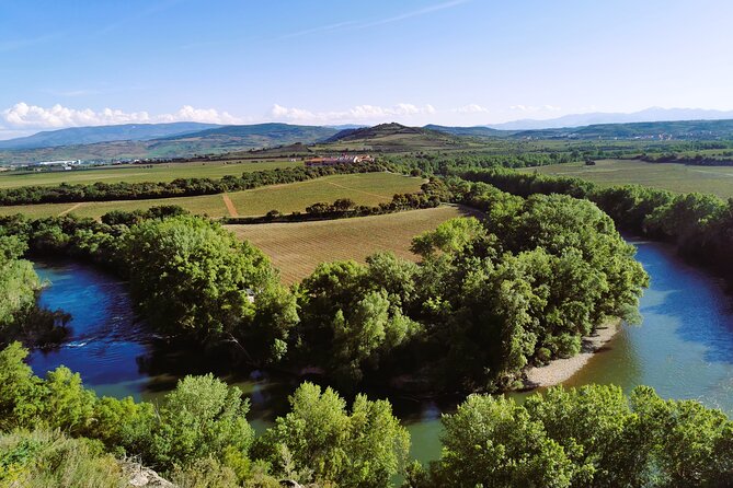 Premium Tour to Ribera del Duero with Wnologist Guide - Key things to know before you go