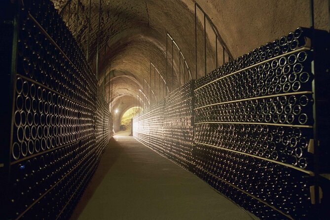 Premium Tour to Ribera del Duero with Wnologist Guide - Ismael Arroyo | ValSotillo: the subway winery and a 16th-century “wine cathedral”
