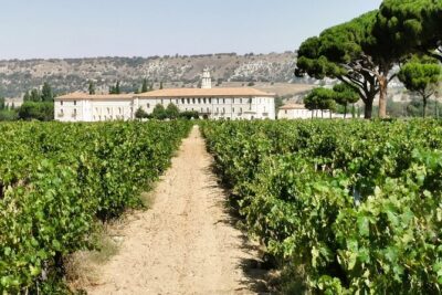 Premium Tour to Ribera del Duero with Wnologist Guide - Meeting Enrique: why a winologist guide changes what you taste