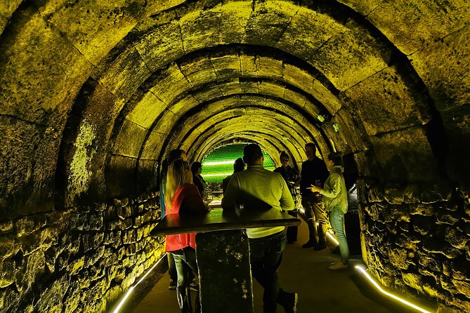 Premium Tour to Ribera del Duero with Wnologist Guide - Price and value: what $480.56 buys you for a 9-hour wine day