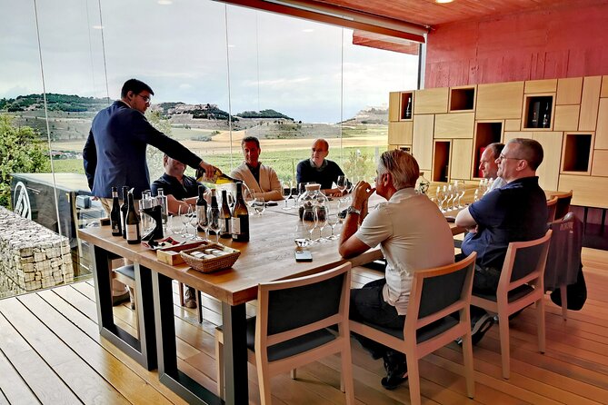 Premium Tour to Ribera del Duero with Wnologist Guide - Who should book this Ribera del Duero day trip