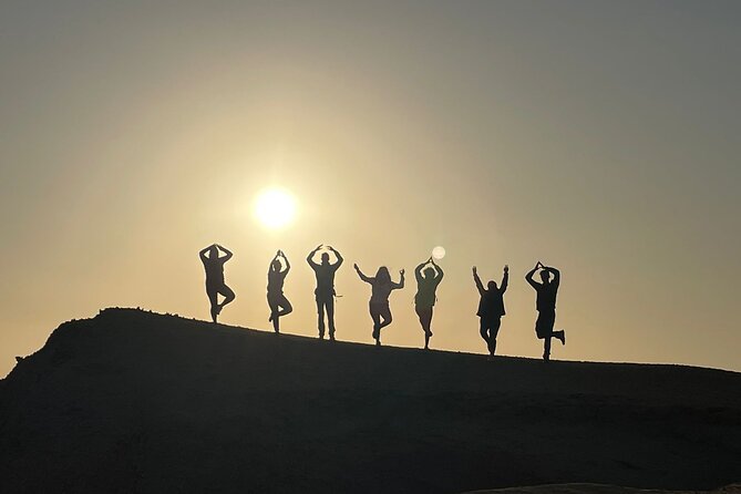 Premium Trekking Golden Shades - Paracas Peninsula viewpoint: seeing the whole reserve at once
