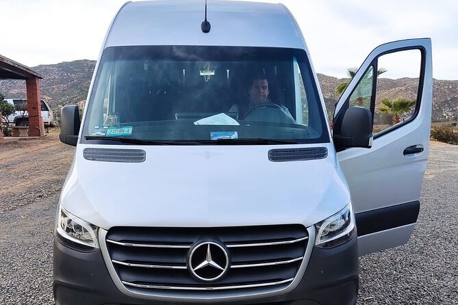 Premium Valle de Guadalupe Wine and Food Tour - Price and what you actually get for $259