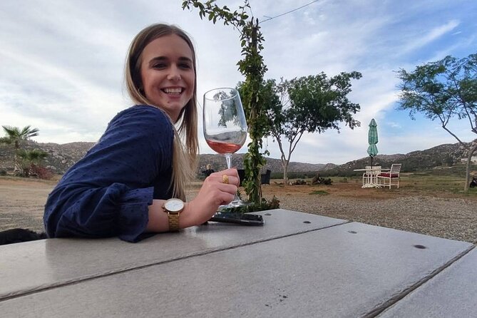 Premium Valle de Guadalupe Wine and Food Tour - Rosarito taco stop: the Baja warm-up that keeps you happy
