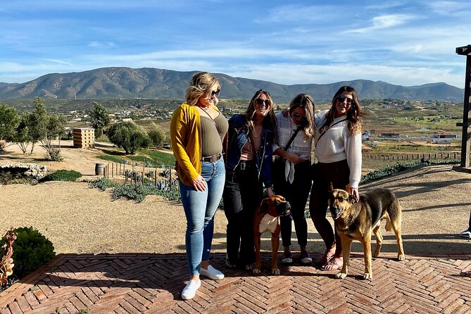 Premium Valle de Guadalupe Wine and Food Tour - Three boutique wineries: why 10–12 tastings feel like a sweet spot