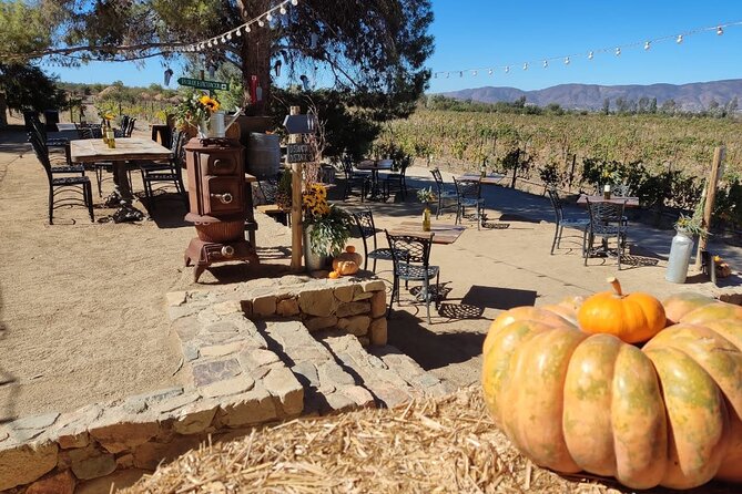 Premium Valle de Guadalupe Wine and Food Tour - Guides and drivers: the human part that makes or breaks the day
