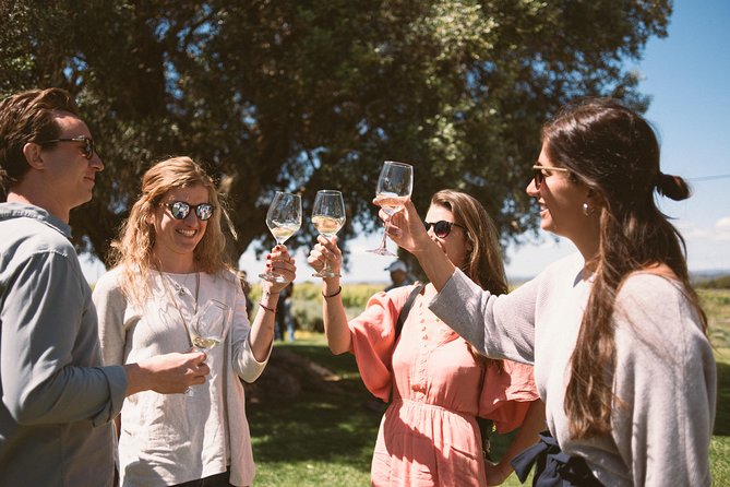 Premium Vineyard Tour & Tasting - Key highlights you’ll care about