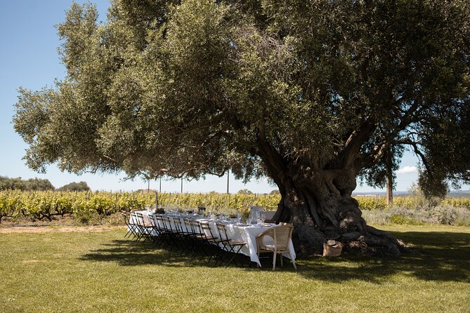 Premium Vineyard Tour & Tasting - Why an Algarve estate tasting at 4 pm works