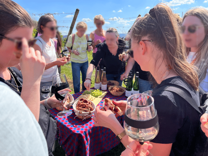 Premium wine hike Stuttgart with games and winemaker's snack - Private group feel: why it changes the quality
