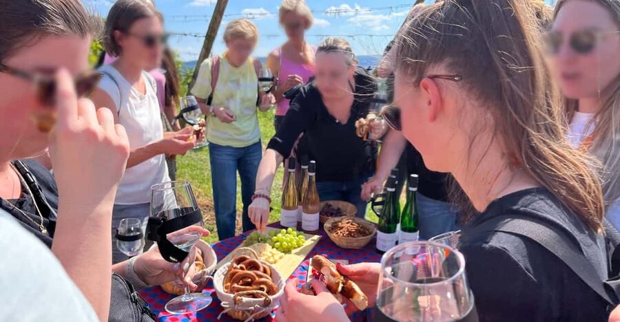 Premium wine hike Stuttgart with games and winemaker's snack - Fun built into the route: games that keep the pace easy