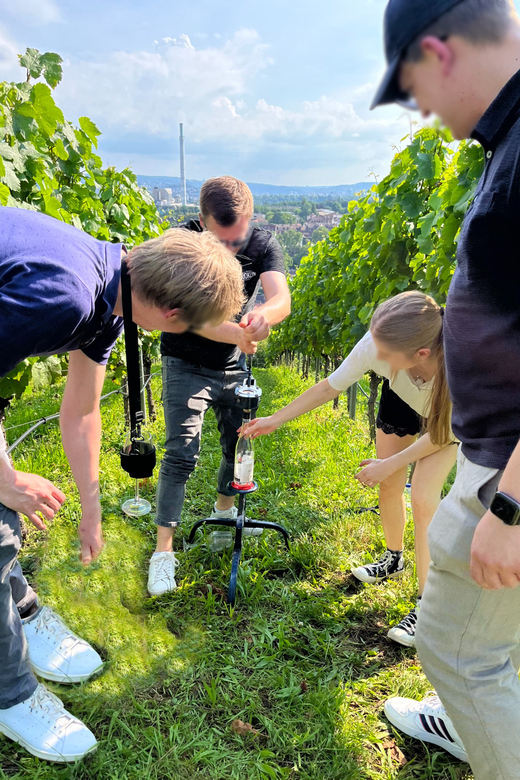 Premium wine hike Stuttgart with games and winemaker's snack - Alcohol options, non-alcoholic choices, and vegan requests