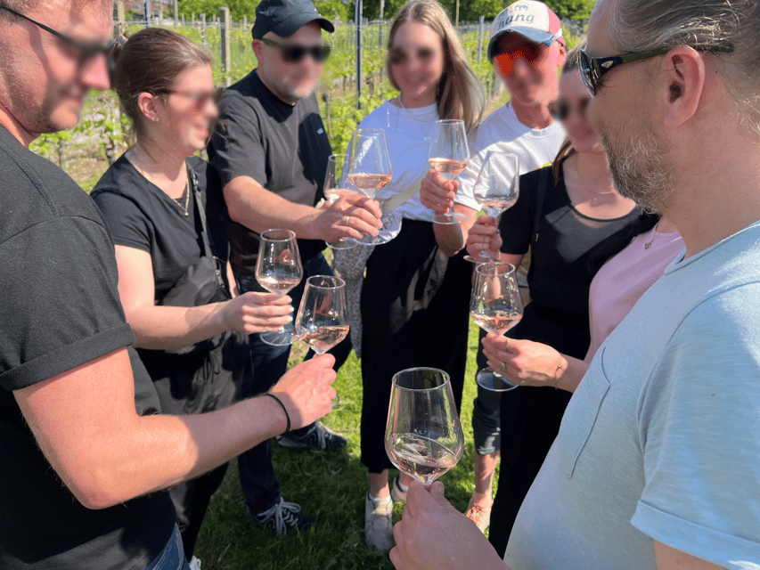 Premium wine hike Stuttgart with games and winemaker's snack - Starting point: how to get to the hike without stress