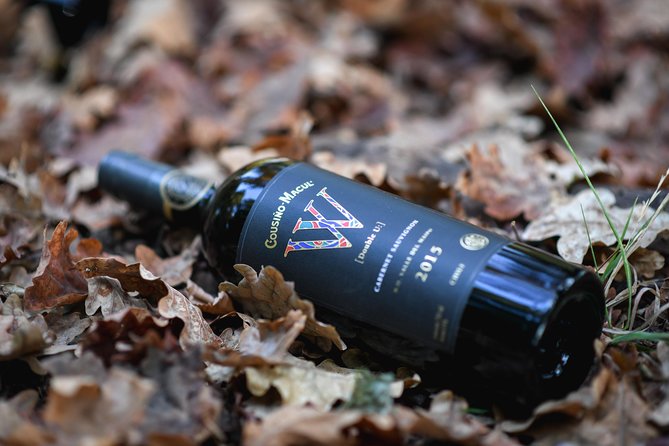 "Premium Wine Tour" Viña Cousiño Macul Official english - Key highlights you’ll feel fast