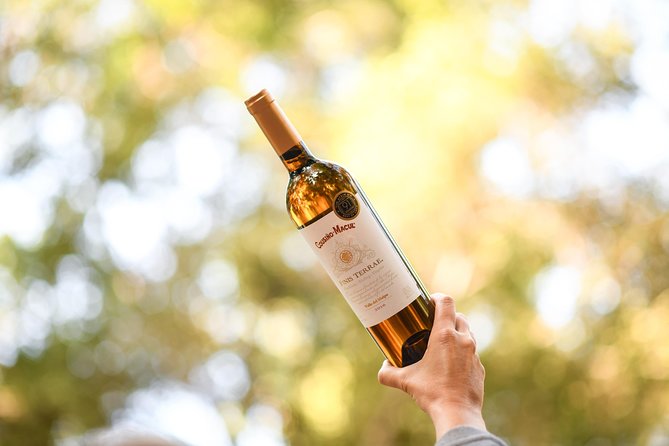 "Premium Wine Tour" Viña Cousiño Macul Official english - Guides make it feel personal: Virginia, Jasmine, Joaquin, Cleiton