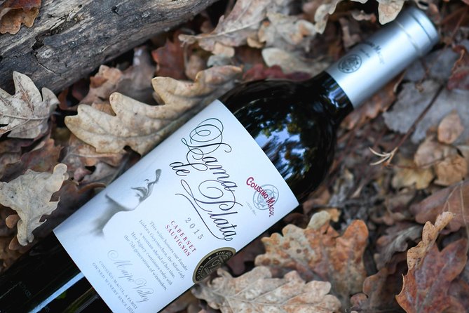 "Premium Wine Tour" Viña Cousiño Macul Official english - Price and value: does $45 make sense for 1h 45m?
