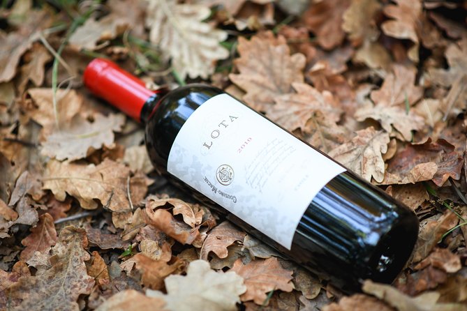 "Premium Wine Tour" Viña Cousiño Macul Official english - Getting there from Santiago: meeting point in Peñalolén