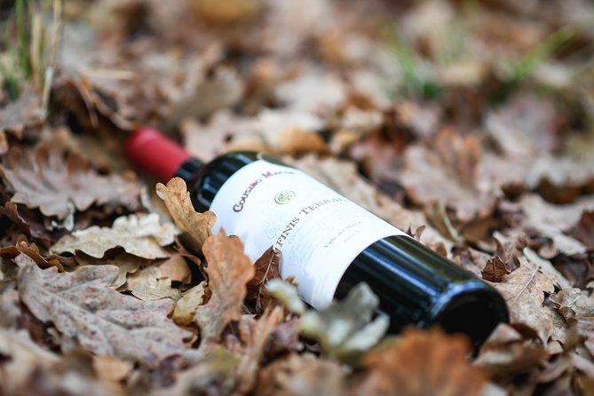 "Premium Wine Tour" Viña Cousiño Macul Official english - Who this wine tour is best for (and who might want something longer)