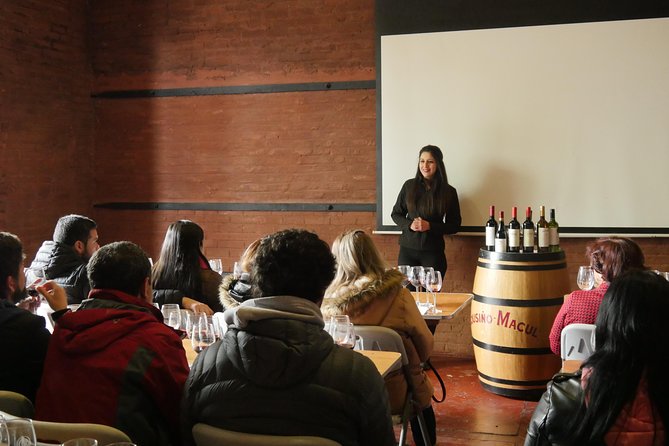"Premium Wine Tour" Viña Cousiño Macul Official english - Premium tasting details: snacks, cheese, and pairing time