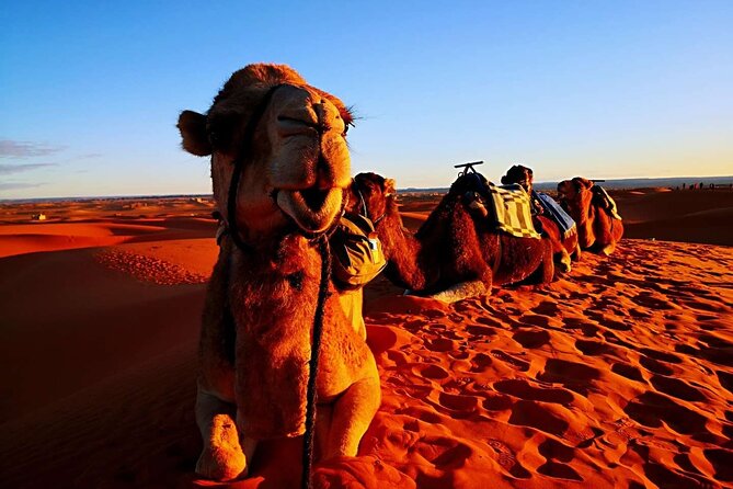 Private 3 Day Luxury Desert Tour from Fez to Marrakech - Day 3: Ait-Ben-Haddou UNESCO kasbah, Tizi n Tichka pass, and arrival around 7pm