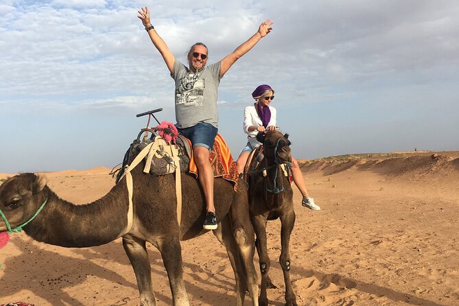 Private 3 Day Luxury Desert Tour from Fez to Marrakech - Price and what you’re actually paying for ($1,138.23 per group up to 2)