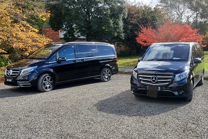 Private and Customised Great Ocean Road and Luxury Tour - Melbourne pickup at 7:00 am: comfort first, crowds later