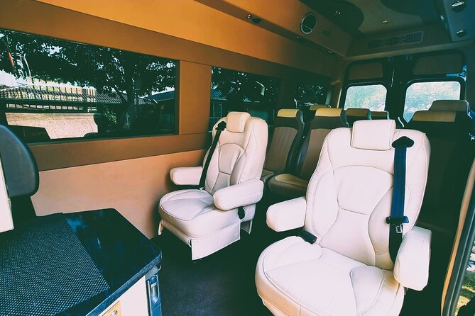 Private and Customised Great Ocean Road and Luxury Tour - Koalas in the blue gums: your best chance isn’t random