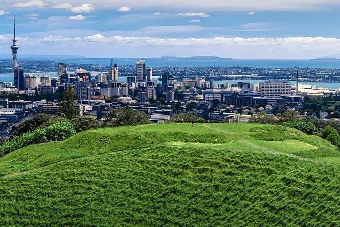Private Auckland City Tour For Small Group in a luxury vehicle. - Getting the Most from the Tour (Without Overthinking It)