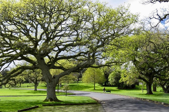 Private Auckland City Tour For Small Group in a luxury vehicle. - Should You Book This Private Auckland City Tour?