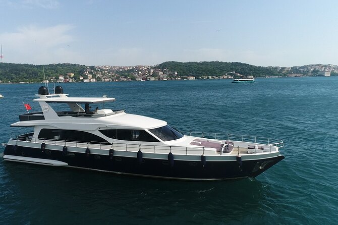 Private Bosphorus Sightseeing Cruise on Luxury Yacht - Dolmabahçe Palace and Ortaköy Mosque: Europe’s shoreline in front-row frames