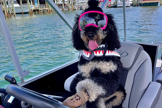 Private Chartered Luxury Pontoon Boat in Destin-Up to 6 Guests - What’s included: snorkeling gear, paddle board, lily pad, and more