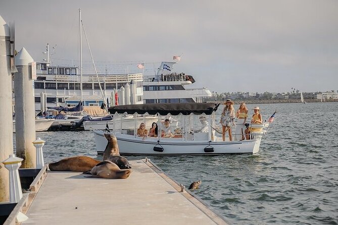 Private E-Boat Cruise: Wine, Charcuterie and Sea Lion Spotting - Quick highlights before you book